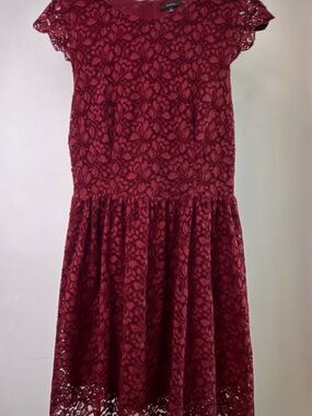 Aritzia Talula Burgundy Lace Fit-and-Flare Dress